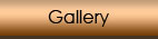 Beijing Escort Gallery